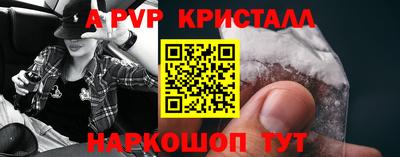 молекула духа Заводоуковск