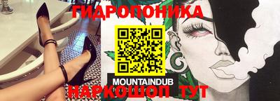 хмурый Берёзовский