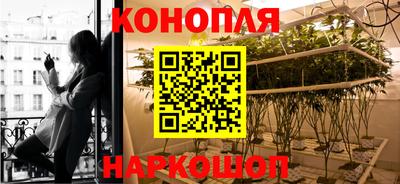 молекула духа Заводоуковск