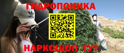молекула духа Заводоуковск