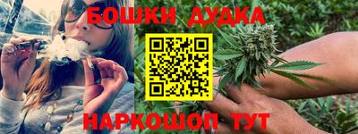 молекула духа Заводоуковск