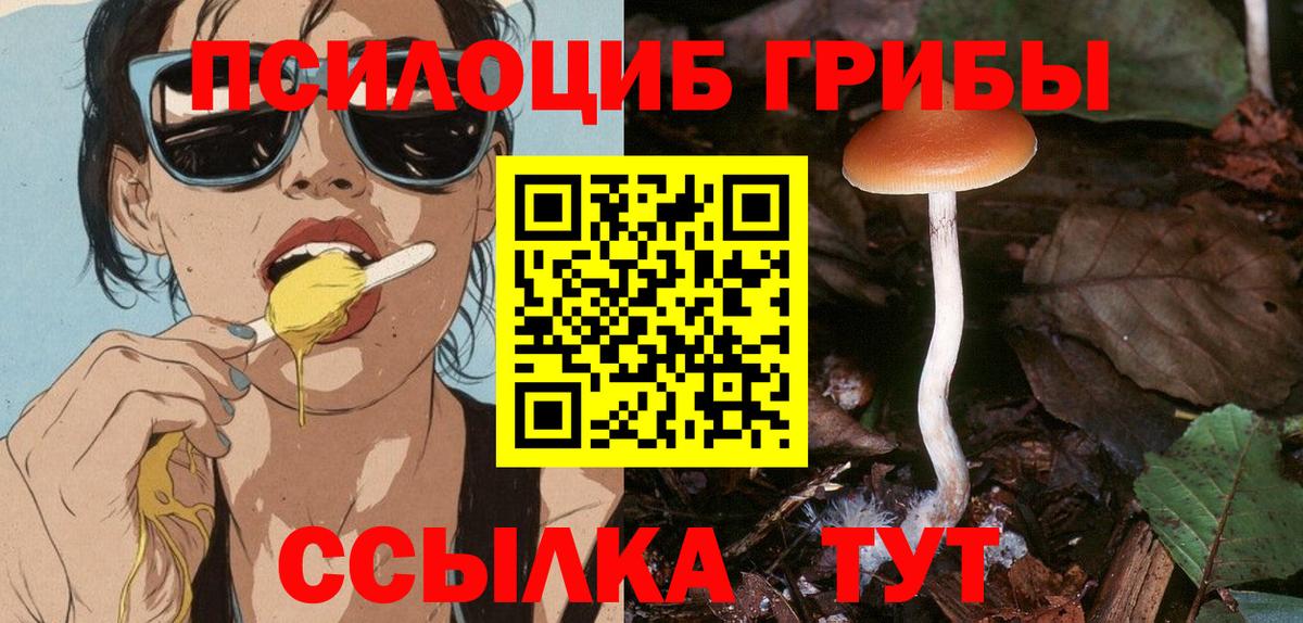 Ногинск  где можно купить наркотик  Вход с VPN  Галлюциногенные грибы Cubensis 