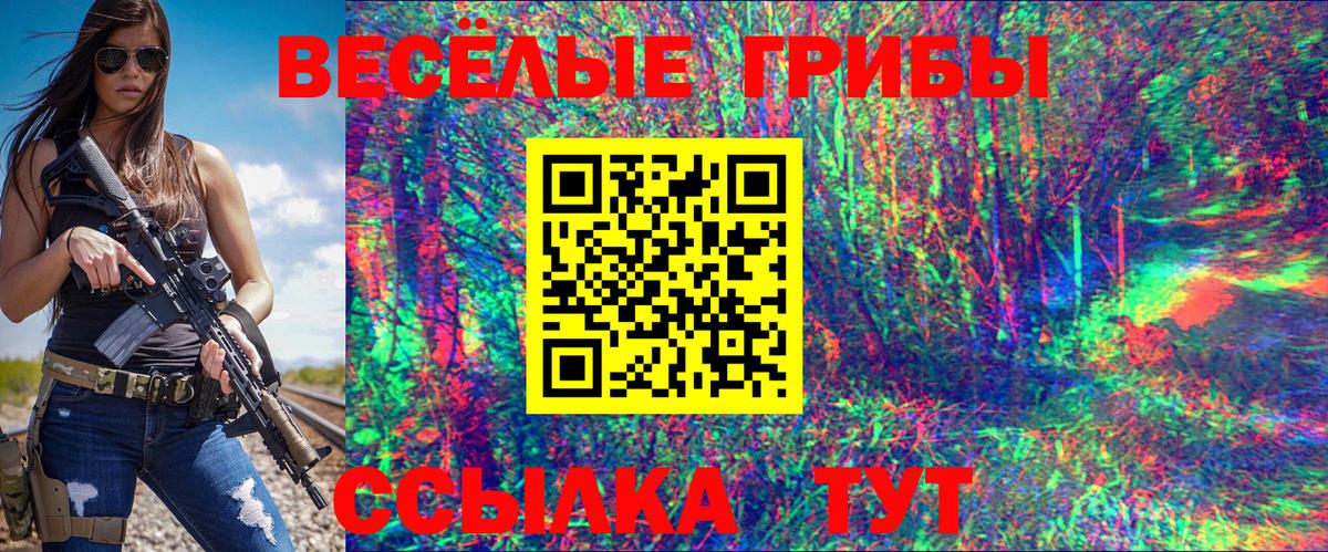 Псилоцибиновые грибы Psilocybine cubensis Ногинск