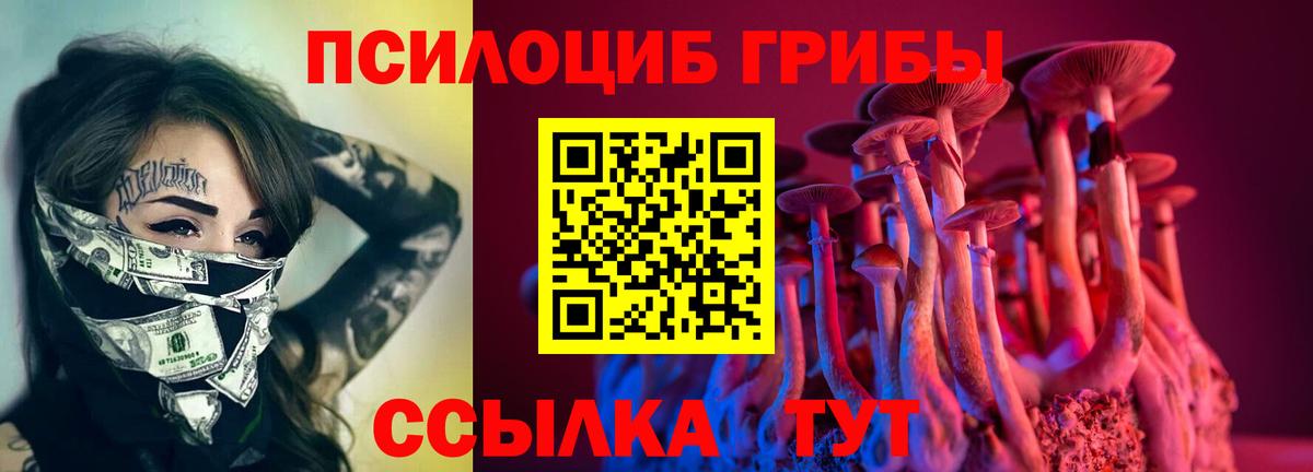Галлюциногенные грибы прущие грибы  Ногинск  Псилоцибиновые грибы Psilocybine cubensis 