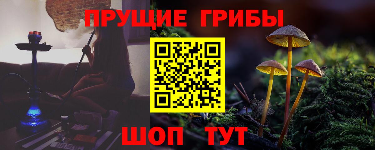 Псилоцибиновые грибы MAGIC MUSHROOMS Ногинск