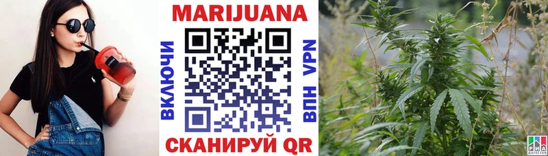 Конопля план  Ногинск 