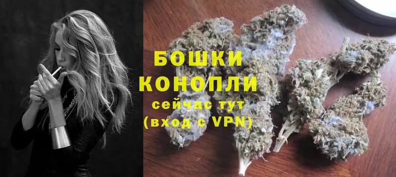 Каннабис OG Kush  Ногинск 