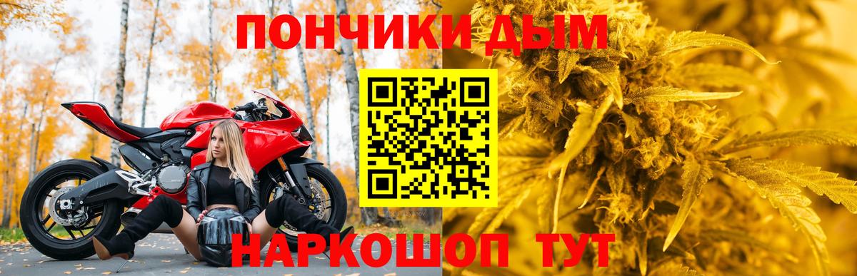 Конопля гибрид Ногинск