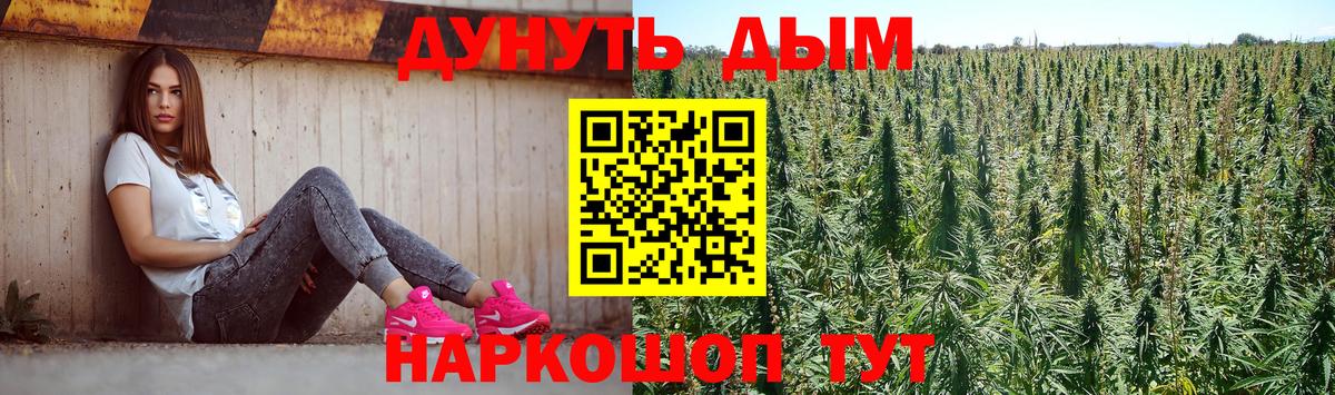 МАРИХУАНА сатива Ногинск